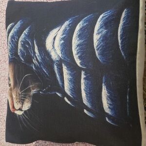 Used cat Pillow
